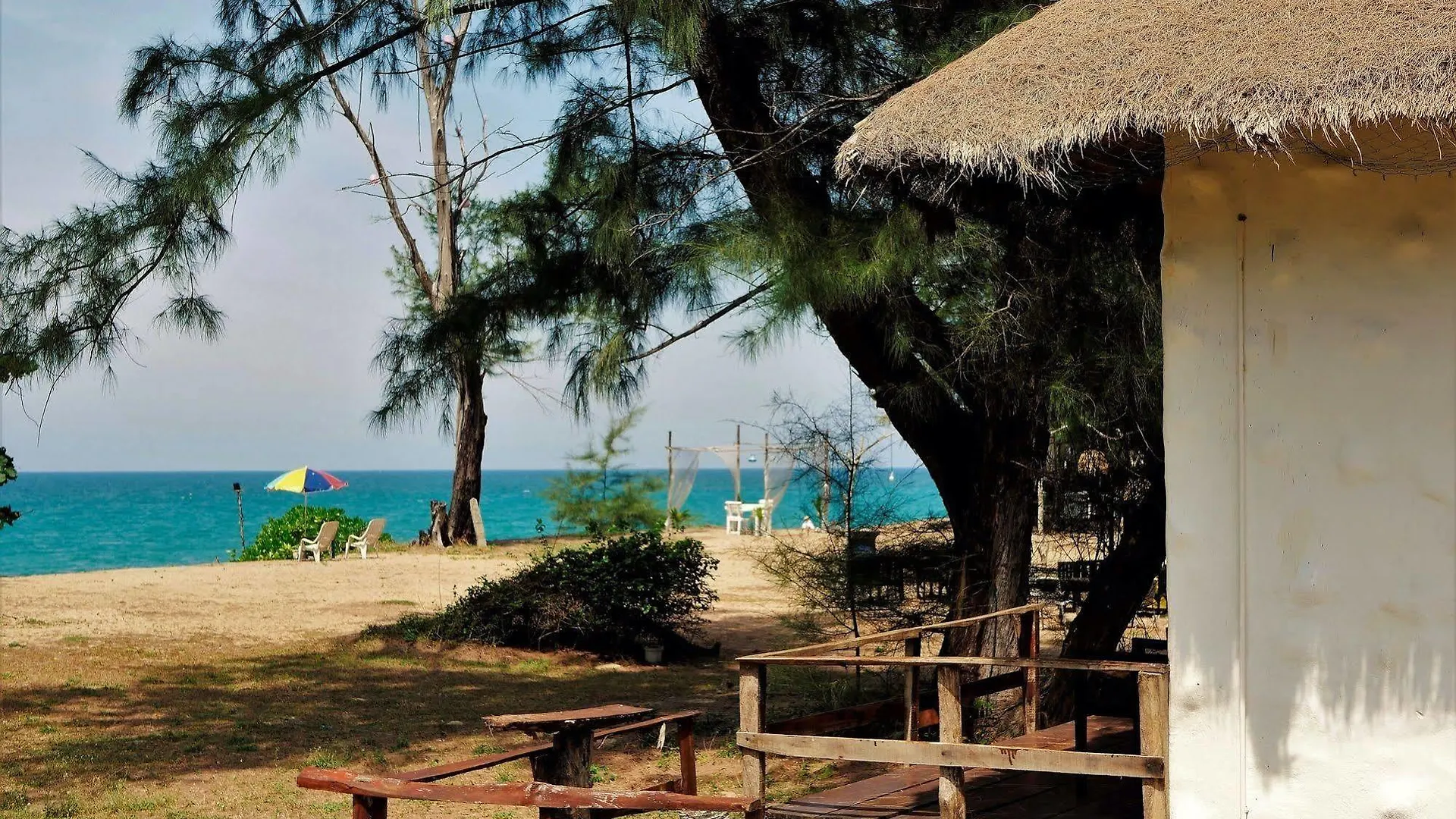 Micky Monkey Beach Hotel Phuket Maikhao Thailand Mai Khao